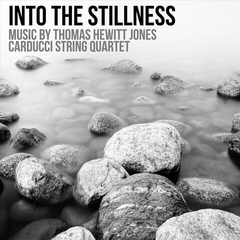 Into the Stillness