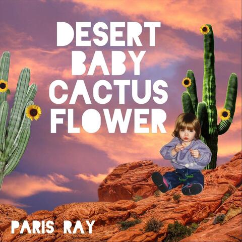 Desert Baby Cactus Flower
