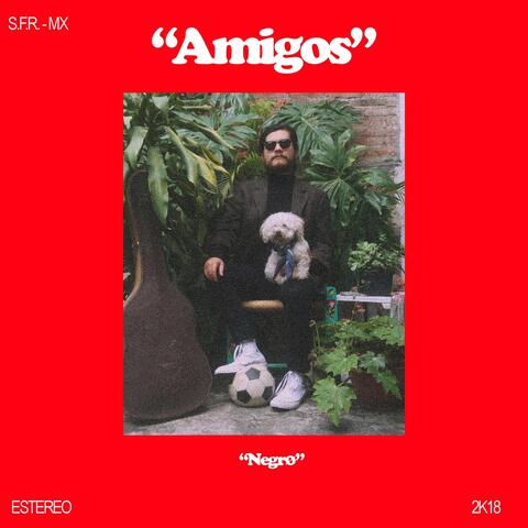 Amigos