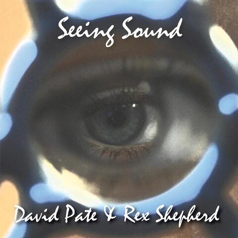 Seeing Sound