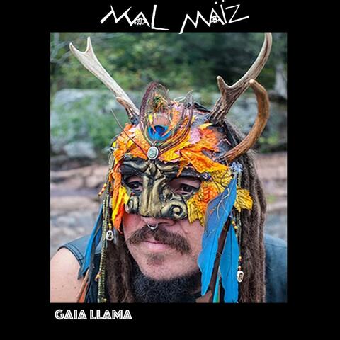 Gaia Llama