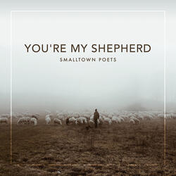You're My Shepherd (feat. Mac Powell)