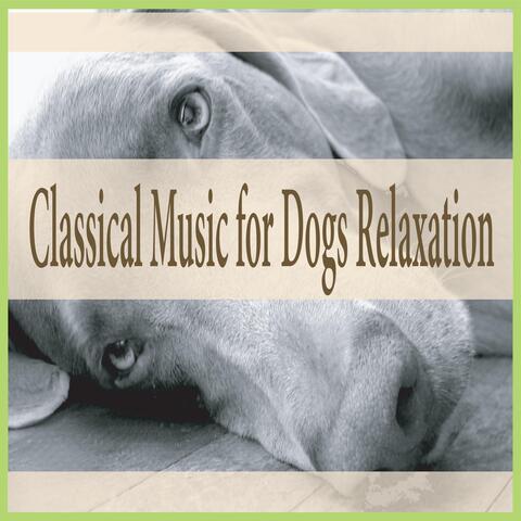 Classical Music for Dogs Relaxation