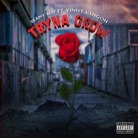 Tryna Grow (feat. Vinny Vangoh)