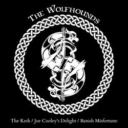The Kesh / Joe Cooley's Delight / Banish Misfortune