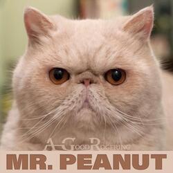 Mr. Peanut