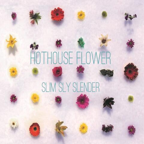 Hothouse Flower