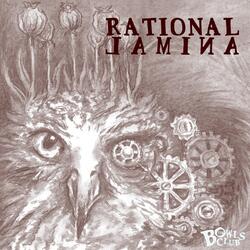 Light at the End of the Tunnel