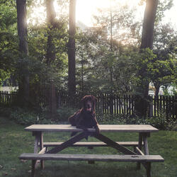 Somewhere Else