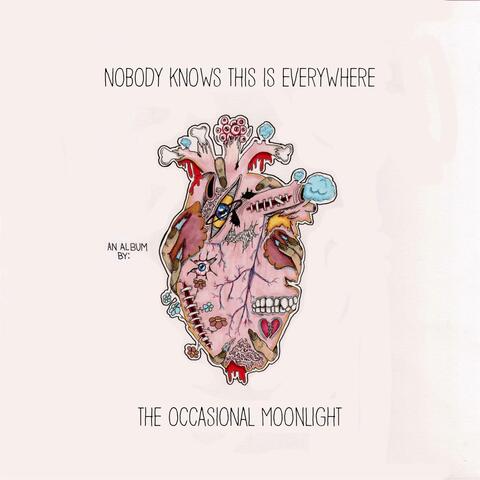 Nobody Knows This Is Everywhere