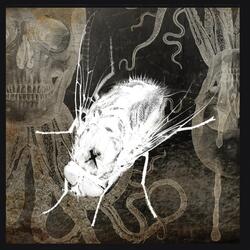 Ashes