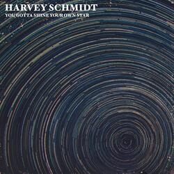 You Gotta Shine Your Own Star