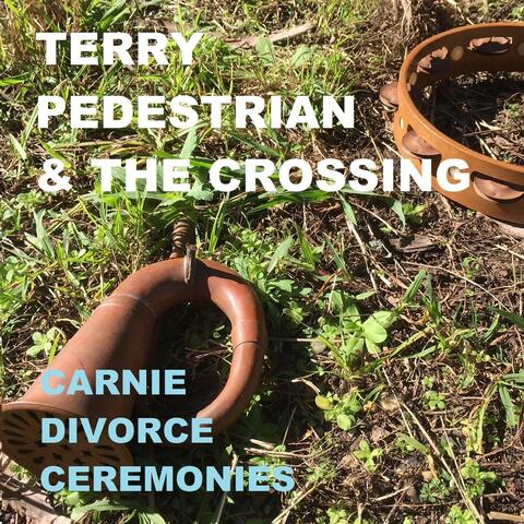 Terry Pedestrian & the Crossing