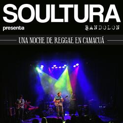 Mandolin (Live)