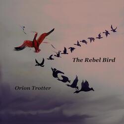 The Rebel Bird