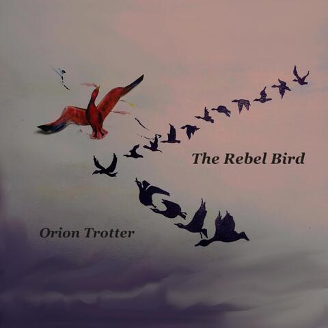 The Rebel Bird