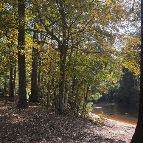 The Sounds of Serenity