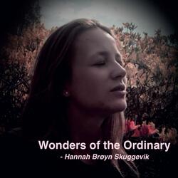 Wonders of the Ordinary