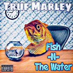 Fish- N- The Water