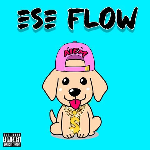 Ese Flow