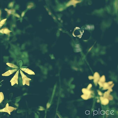 A Place (feat. Steeve Sam)