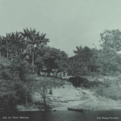 Joy in Your Waters (Live in the Amazon) [feat. Delilah Curtis]