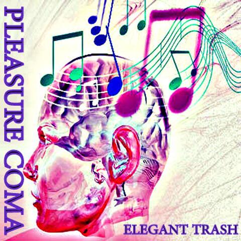 Pleasure Coma