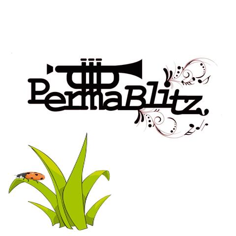 Permablitz