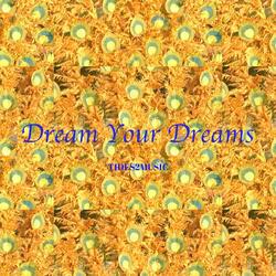 Dream Your Dreams