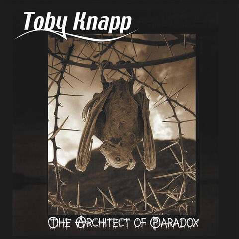 The Architect of Paradox