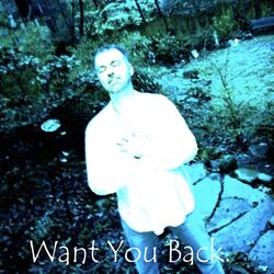 Want You Back