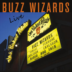 Wizard Attack (Live) [feat. Steve Ferrone, Jorgen Carlsson & Jeff Babko]