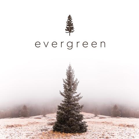 Evergreen
