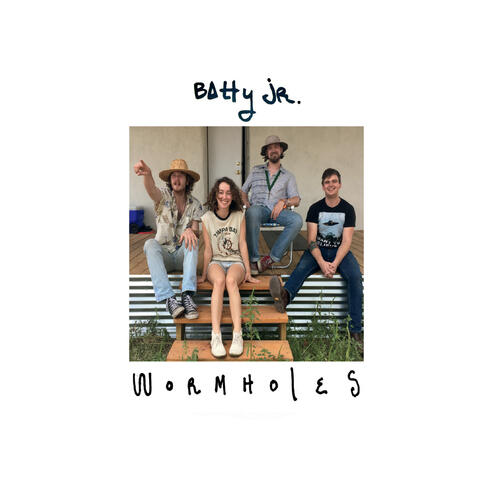 Wormholes