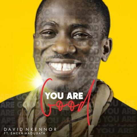 You Are Good (feat. Emeka Madubata)