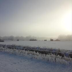 Prairie Landscapes : December