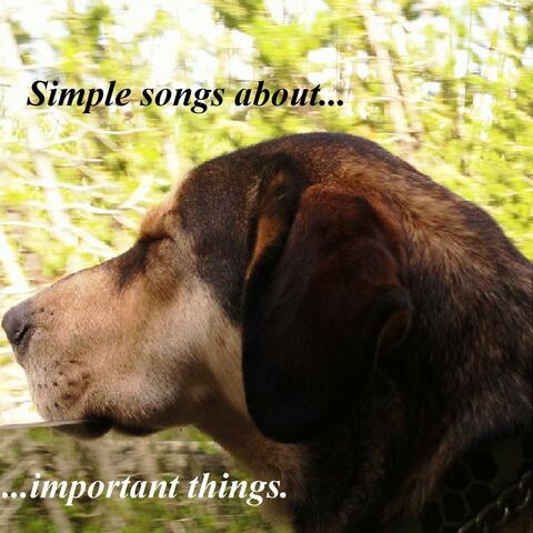 Simple Songs About Important Things