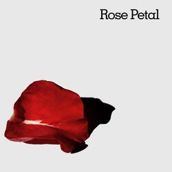 Rose Petal