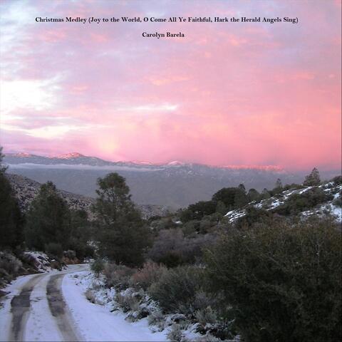 Medley: Joy to the World / O Come All Ye Faithful / Hark! the Herald Angels Sing