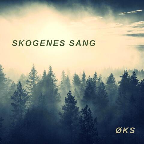 Skogenes Sang