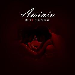 Aminin