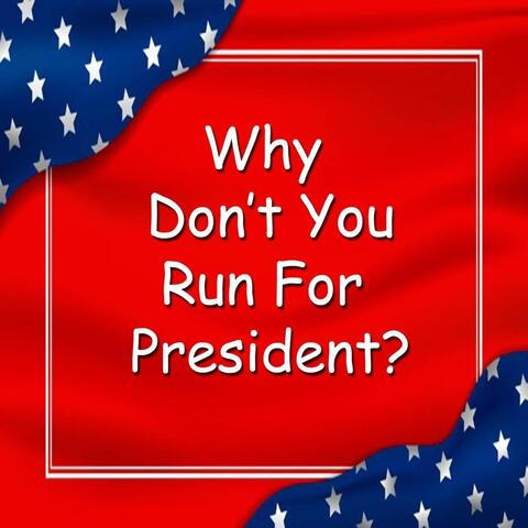 Why Don't You Run for President
