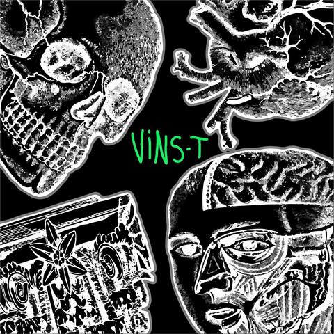 Vins-t