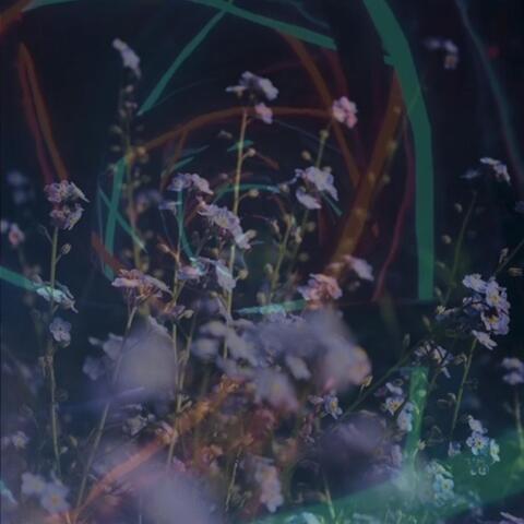 Garden of Tears