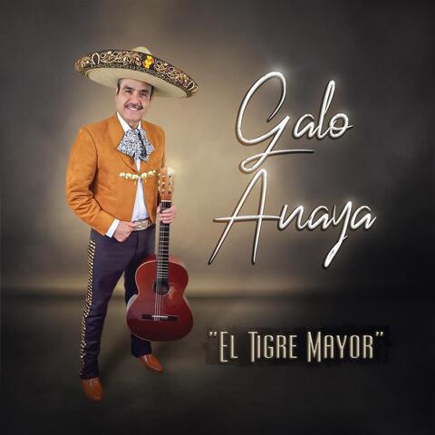 El Tigre Mayor