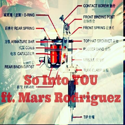 So into You (feat. Mars Rodriguez)