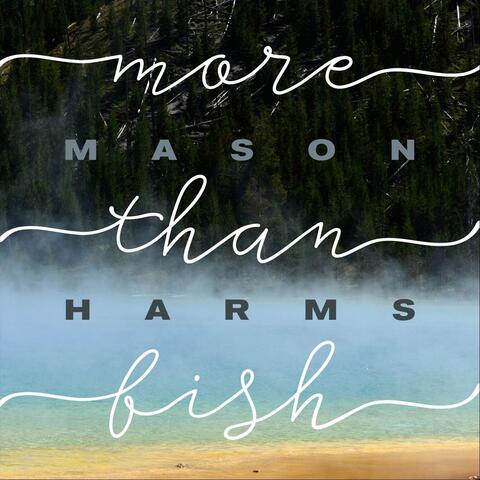 More Than Fish
