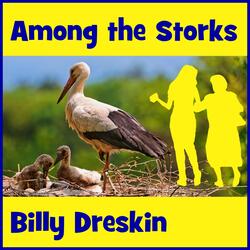 Among the Storks (feat. Cantor Ellen Dreskin)