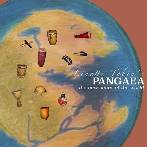 The New Shape of the World