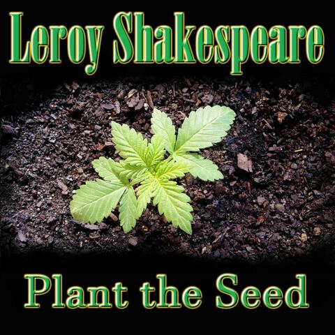 Plant the Seed
